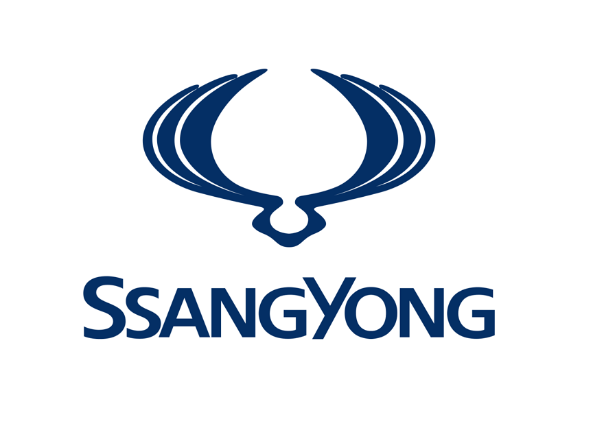 reprogrammation moteur Ssangyong Rodius 