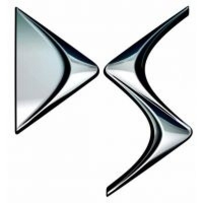 Logo DS